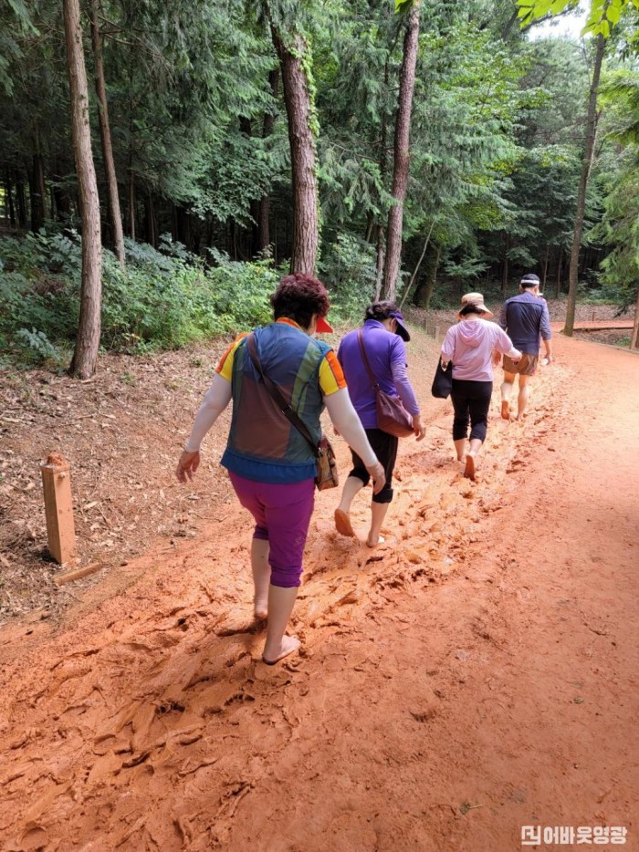 1.슬기로운 힐링생활, 영광군 물무산 행복숲 황톳길에서!.jpg