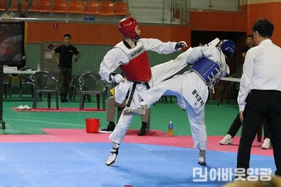 5.태권도대회 모습.jpg