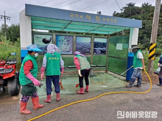 5.군남면 새마을지도자협의회, 새마을부녀회 환경정화.jpeg