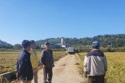 7.법성면, 벼 베기 현장 방문.jpg
