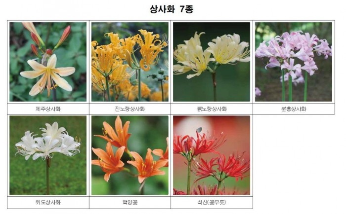 5. 신규지정 7종.jpg