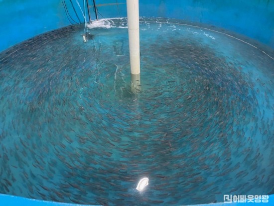 3.사진자료(영광군, 수산분야 전기요금 인상액 지원) (1).jpg