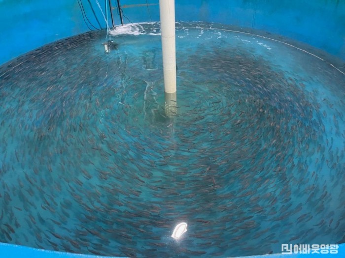 3.사진자료(영광군, 수산분야 전기요금 인상액 지원) (1).jpg