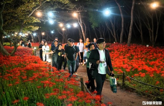 5.사진자료(영광불갑산상사화축제, 2024년 전라남도 대표축제 선정) (1)[크기변환].JPG