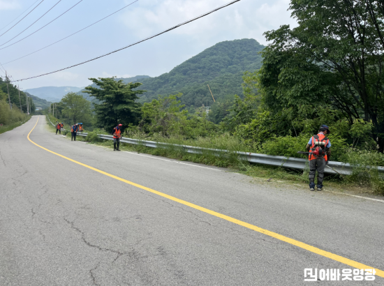 읍면2.사진자료(묘량면, 주요 도로변 풀베기 작업실시).PNG