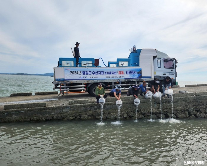 5.사진자료(참돔 종자 방류).jpg