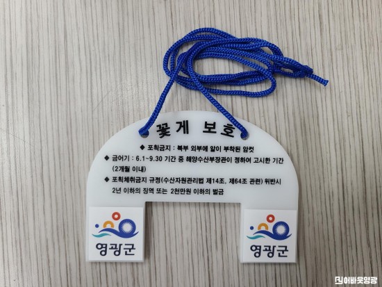 해양수산과-어린 꽃게는 가족품으로 돌려 보내주세요 사진2.jpg