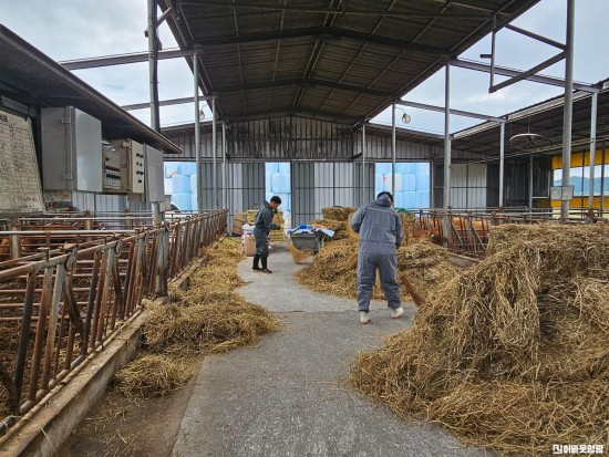 환경정화활동_영광축협 (3).JPG