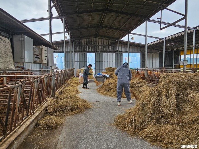환경정화활동_영광축협 (3).JPG