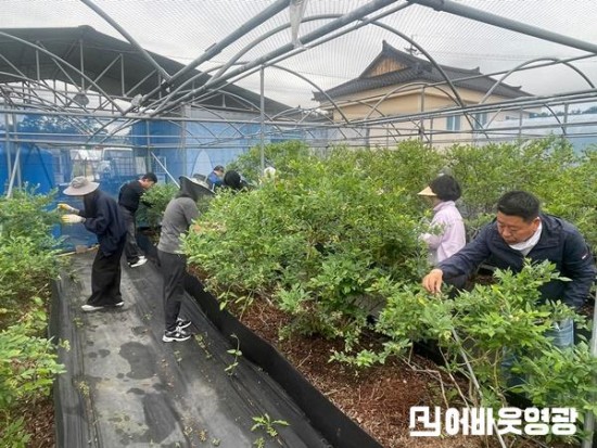 4.사진자료(군서면, 영농철 농촌일손돕기 활동 참여) (1).jpg