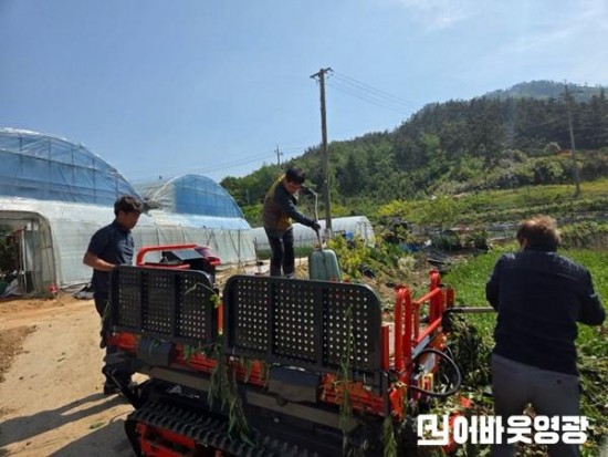 2.사진자료(염산면, 복숭아 수확철 맞아 농가 일손돕기 나서) (1).jpg