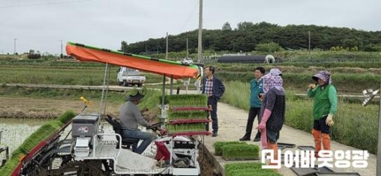 3.대마면, 농번기 모내기 등 영농현장 격려 방문 (1).jpeg