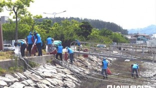 7.명예환경감시단 환경정화활동 1.jpg