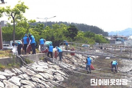 7.명예환경감시단 환경정화활동 1.jpg