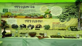 7.영광군, 2025 영광 법성포 단오제 떡산업 식품전 홍보부스 운영 (2).jpg