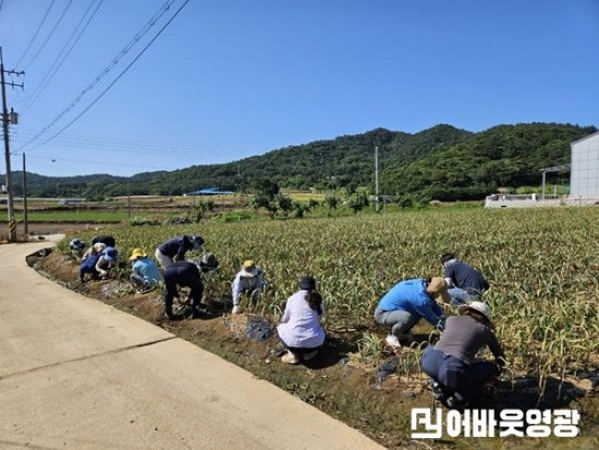 5.농촌일손돕기 사진 (1).jpeg