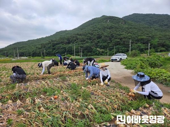 5.상하수도사업소, 양파 수확 일손돕기로 구슬땀 흘려 (1).JPG