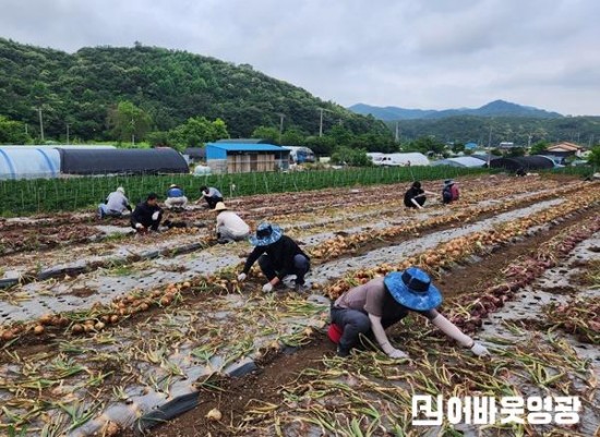 7.안전관리과 농촌일손돕기(1).jpg
