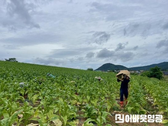 3.영광군, 호우 대비 외국인 계절근로자 근로현장 점검 (2).JPG