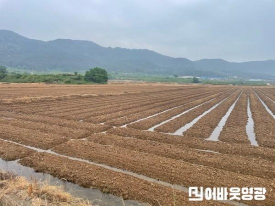 4.장마철 논콩 재배 적기 파종과 철저한 배수 관리 당부.jpg