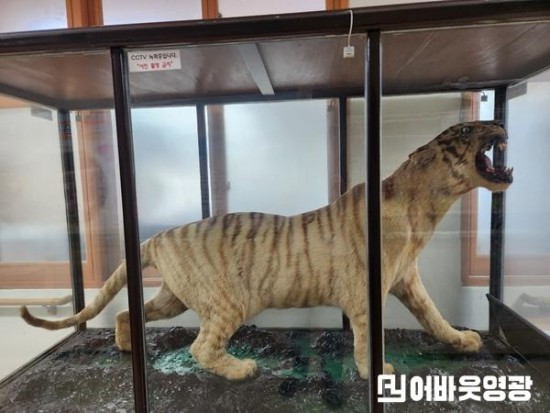 불갑산 호랑이.jpg