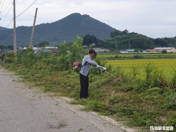 1.사진(군서면, 추석맞이 풀베기)1.jpeg