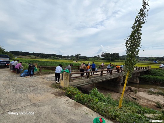 1.사진(영광읍 새마을부녀회, 추석 맞이 환경정화활동 실시).jpg