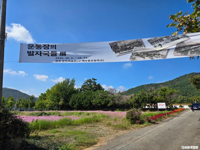 4.사진(운동장의 발자국들 전시회 코스모스와 함께)1.jpeg