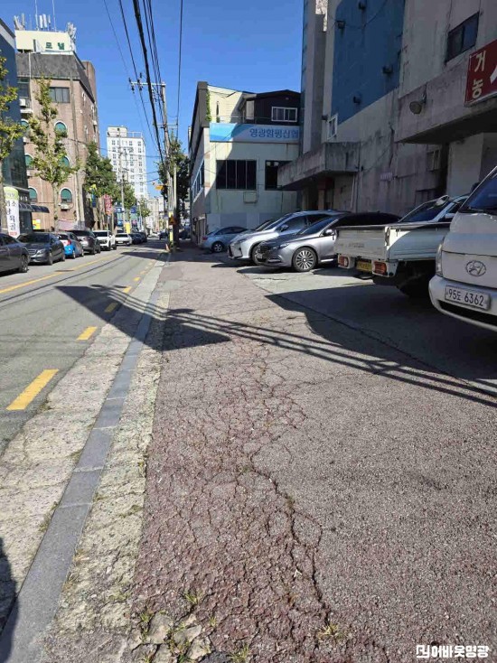 1.사진(보도블럭 정비 및 파손 구간 전수조사).jpg