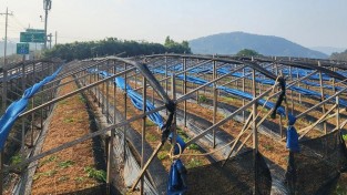 3.사진(농업시설 집중 점검).jpg