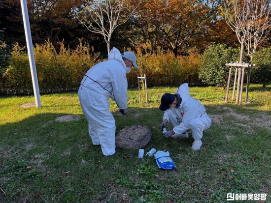 1.사진(영광군, 동절기 모기 유충구제 집중추진)1.jpg