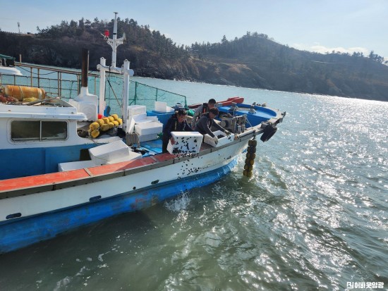 6.사진(전복 수산종자 방류).jpg