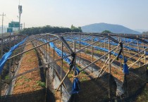 영광군, 겨울철 한파·대설 대비 농업시설물 집중 점검