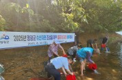 영광군, 내수면 수산자원 회복 위한 고부가가치 어종 56만 마리 방류