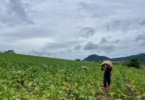 영광군, 호우 대비 외국인 계절근로자 근로현장 점검