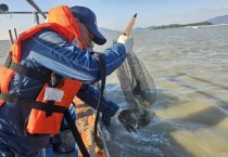 영광군, 칠산해역에 참꼬막 137만 마리 방류… 수산자원 회복 박차