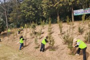 영광군 여성경제인협회, 식목일 행사서 ‘녹색 영광’ 만들기 앞장