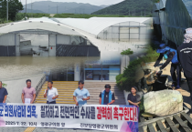 재난 앞에서 정치가 할 일은 ‘言’이 아니다