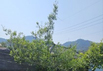 영광읍 우리동네 복지기동대, 주거환경개선 활동에 구슬땀