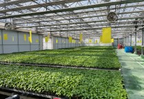 영광군, 고추 육묘 신청접수