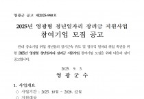 2025년 영광형 청년일자리장려금 지원사업 참여기업 모집 공고