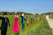 전남 최대 규모 허수아비 전시, 영광찰보리축제서 선보인다