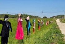 전남 최대 규모 허수아비 전시, 영광찰보리축제서 선보인다