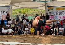전통과 열정이 빚어낸 승부! 2025 영광 씨름대회 현장