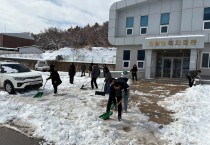 묘량면, 지역 주민 안전을 위한 전 직원 제설작업 실시