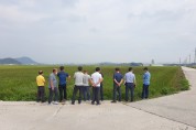 영광군, 유색미 시범 단지 출수 후 현장 평가 실시