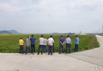 영광군, 유색미 시범 단지 출수 후 현장 평가 실시