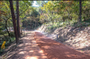 영광 물무산행복숲 질퍽질퍽 맨발 황톳길 개장