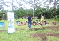 코로나 속에서도 피어나는 인문학