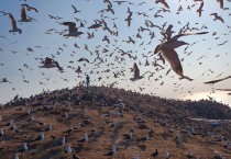 홍석봉 영광부군수, 야생조류의 천국 육산도 방문